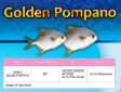 Jeeny's Frozen Golden Pompano